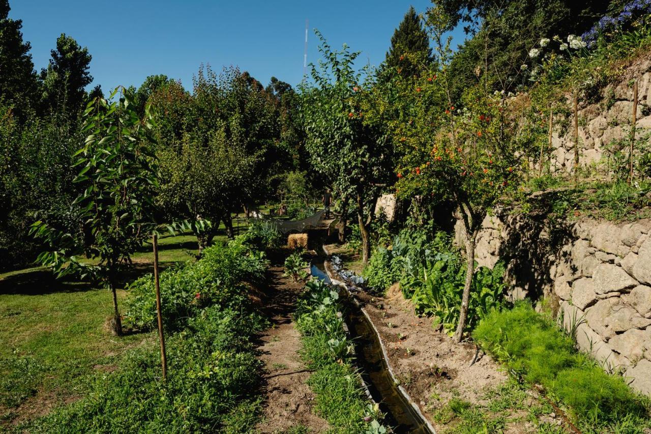 Casa Agricola Da Levada Eco Village วีลาเรอัล ภายนอก รูปภาพ