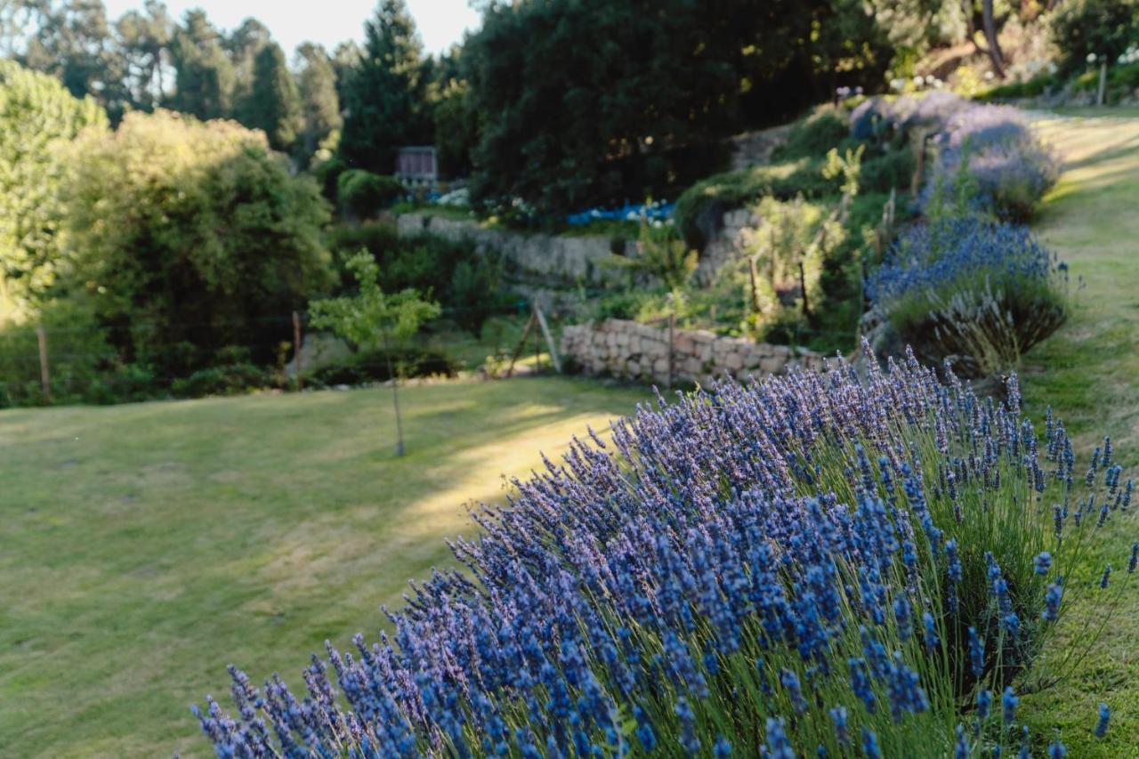 Casa Agricola Da Levada Eco Village วีลาเรอัล ภายนอก รูปภาพ