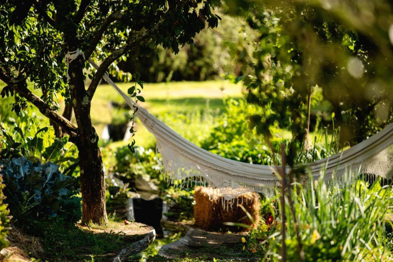 Casa Agricola Da Levada Eco Village วีลาเรอัล ภายนอก รูปภาพ