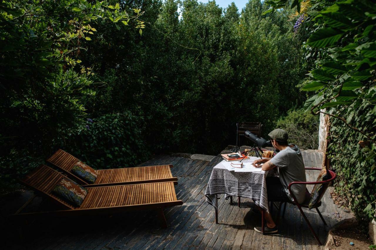 Casa Agricola Da Levada Eco Village วีลาเรอัล ภายนอก รูปภาพ